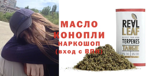 прущие грибы Армянск