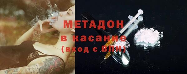 прущие грибы Армянск