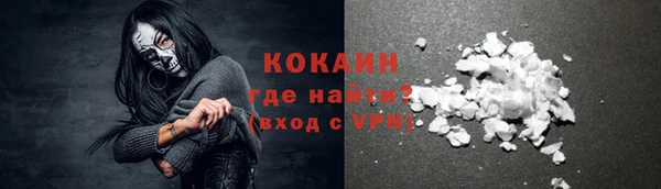 прущие грибы Армянск