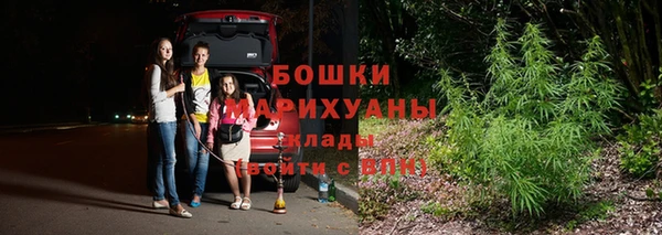прущие грибы Армянск