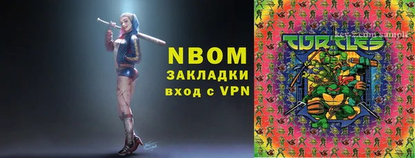 прущие грибы Армянск