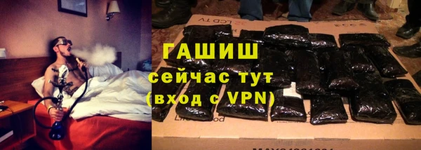 прущие грибы Армянск
